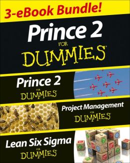 Project Management Dummies Free