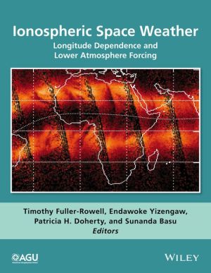Ionospheric Space Weather: Longitude and Hemispheric Dependences and Their Solar, Geomagnetic and Lower Atmosphere Connections