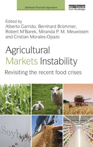 Agricultural Markets Instability: Revisiting the Recent Food Crises