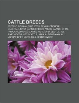 Cattle breeds: Beefalo, Belgian Blue, Zebu, Texas Longhorn, Canchim, List of cattle breeds, Angus cattle, White Park, Chillingham Cattle Source: Wikipedia