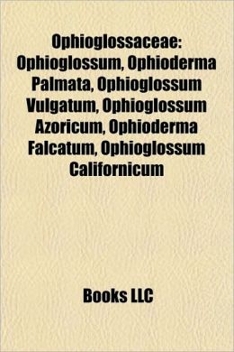 Ophioglossaceae: Ophioglossum, Ophioderma palmata, Ophioglossum vulgatum, Ophioglossum azoricum, Ophioderma falcatum, Ophioglossum californicum