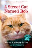 Book Cover Image. Title: A Street Cat Named Bob:  And How He Saved My Life, Author: James Bowen