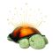 Twilight Turtle