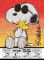 Peanuts Joe Cool Photomosaic 1,000 Piece Puzzle