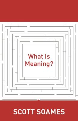 What Is Meaning?