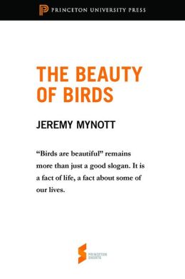 The Beauty of Birds: From 