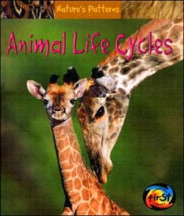 Animal Life Cycles