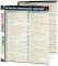 African-American History (SparkCharts)