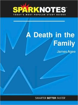 A Death in the Family (SparkNotes Literature Guide Series)