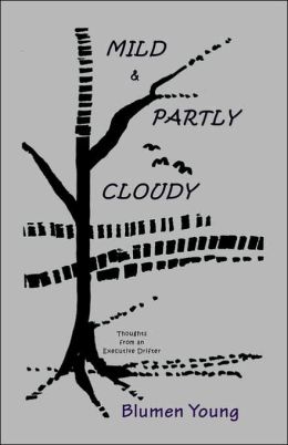 Mild and Partly Cloudy: Thoughts from an Executive Drifter