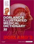 Book Cover Image. Title: Dorland's Illustrated Medical Dictionary, Author: Dorland