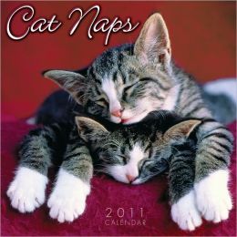Cat Naps 2011 Mini Wall Calendar (Calendar) Sellers Publishing Inc