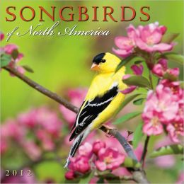 Songbirds of North America 2012 Wall (calendar) Sellers Publishing