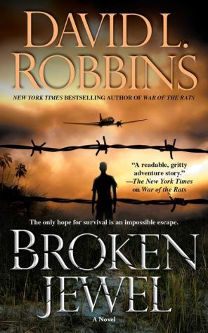 Broken Jewel: A Novel