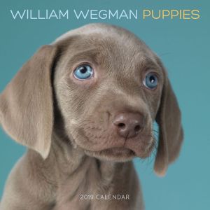 William Wegman Puppies 2019 Wall Calendar