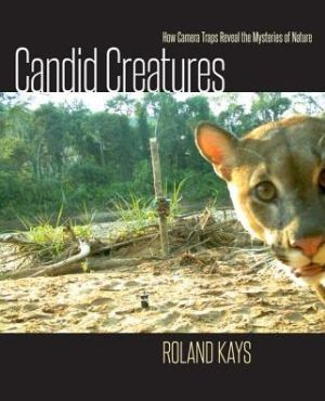 Candid Creatures: How Camera Traps Reveal the Mysteries of Nature