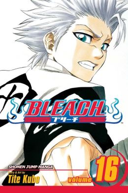 Bleach, Volume 16: Night of Wijnruit