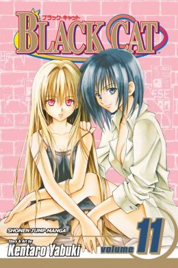 Black Cat, Volume 11