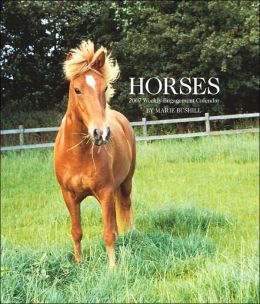 2007 Horses Weekly Engagement Calendar