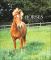 2007 Horses Weekly Engagement Calendar