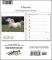 2007 Horses Weekly Engagement Calendar