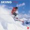 2011 Skiing Square Wall Calendar