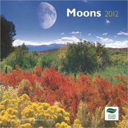 Moons 2012 7X7 Mini Wall