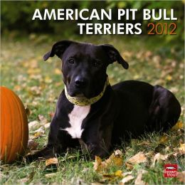 Bull Terriers 2012 Square 12X12 Wall Calendar BrownTrout Publishers Inc