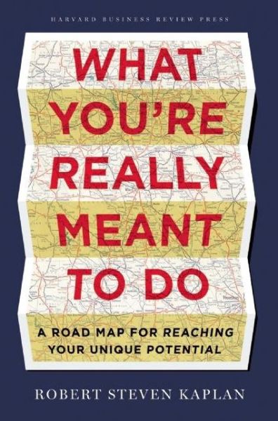 What You're Really Meant to Do: A Road Map for Reaching Your Unique Potential