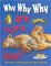 Why Why Why Are Lions Lazy?