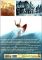 History of Surfing
