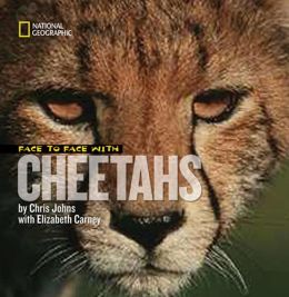 Face to Face With Cheetahs (Face to Face with Animals) Elizabeth Carney