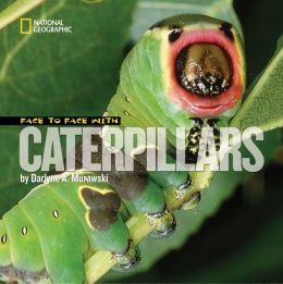 Face to Face with Caterpillars (Face to Face with Animals) Darlyne Murawski