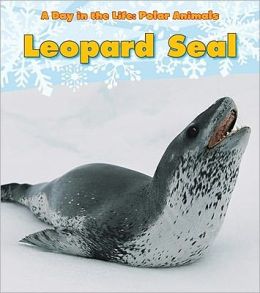 Leopard Seal