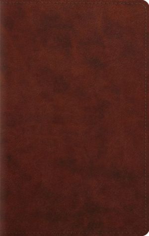 ESV Large Print Personal Size Bible (TruTone, Chestnut)