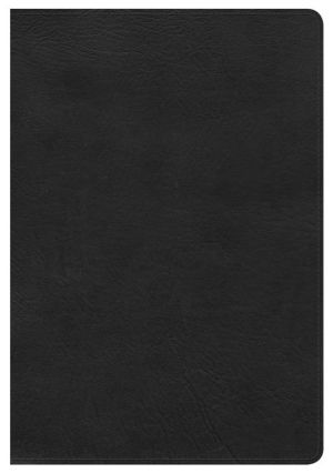 HCSB Giant Print Reference Bible, Black LeatherTouch