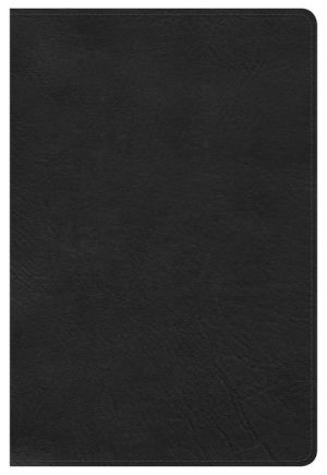 HCSB Large Print Personal Size Bible, Black LeatherTouch