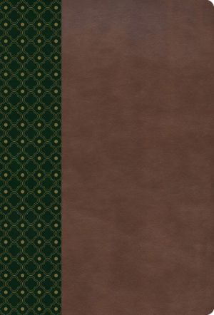 RVR 1960 Biblia de Estudio Scofield, verde oscuro/castano simil piel con indice