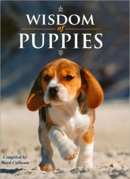 Wisdom of Puppies