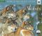 2012 Wolves WWF Wall Calendar