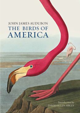 Birds Of America By John James Audubon | 9781435142572 | Hardcover ...