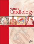 Book Cover Image. Title: Netter's Cardiology, 2nd edition, Author: Marschall S. Runge