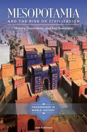 Mesopotamia and the Rise of Civilization: History, Documents, and Key Questions