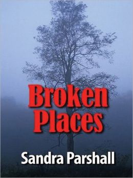 Broken Places: Rachel Goddard Mystery Series, Book 3