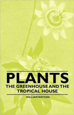 Plants - The Greenhouse And The Tropical House