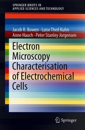 Electron Microscopy Characterisation of Electrochemical Cells