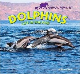 Dolphins