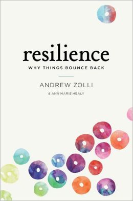 Resilience: Why Things Bounce Back