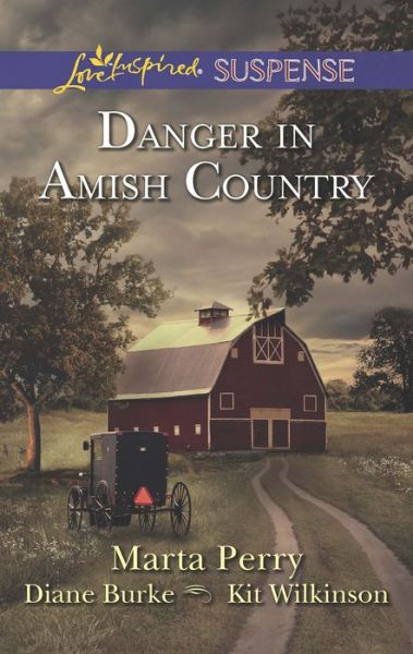 Danger in Amish Country: Fall from Grace / Dangerous Homecoming / Return to Willow Trace