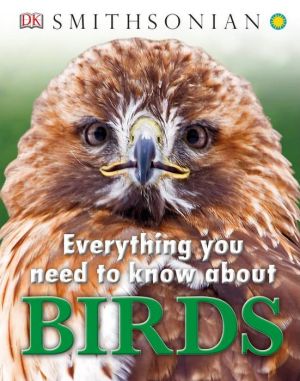 Everything You Need to Know About Birds